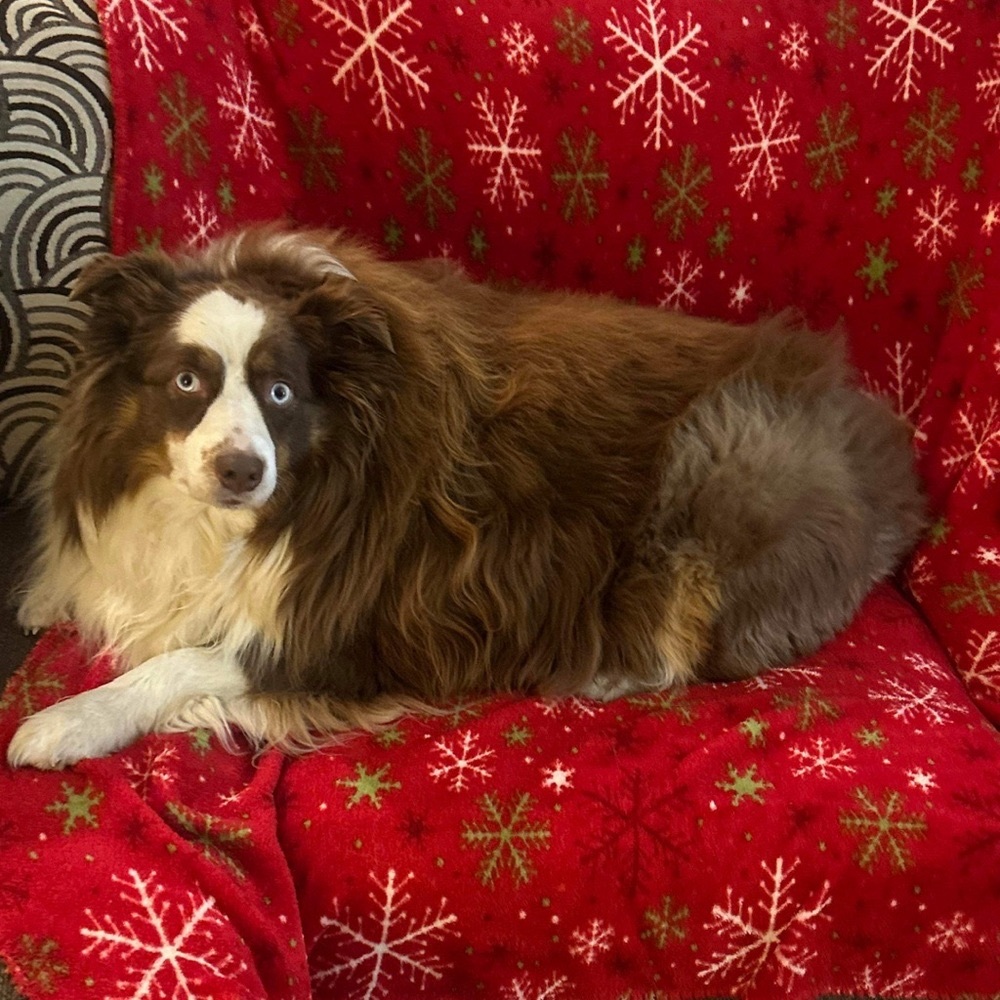 Meet your Posher, Cynthia